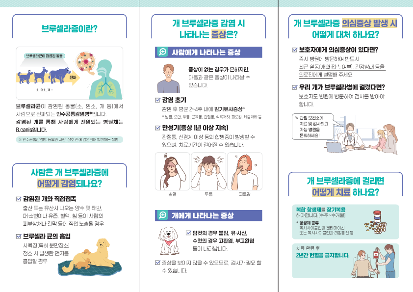 개 브루셀라증 치료 가능 병원 안내 2