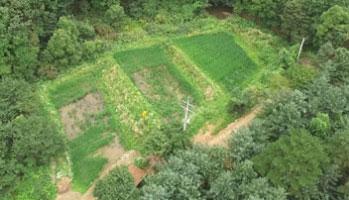 다랭이논 이미지