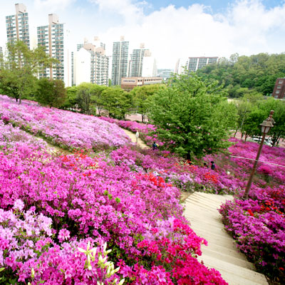 gunpo's Spring