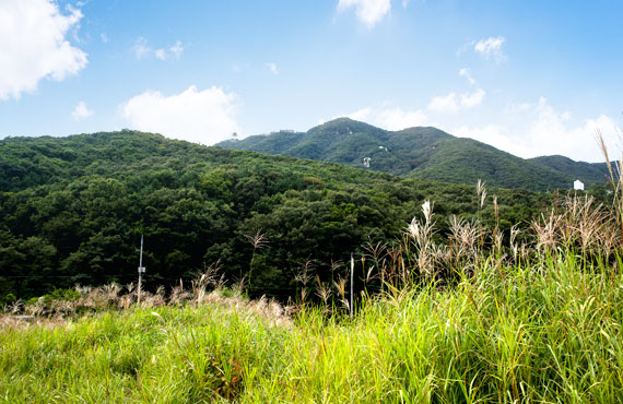 修理山太乙峰